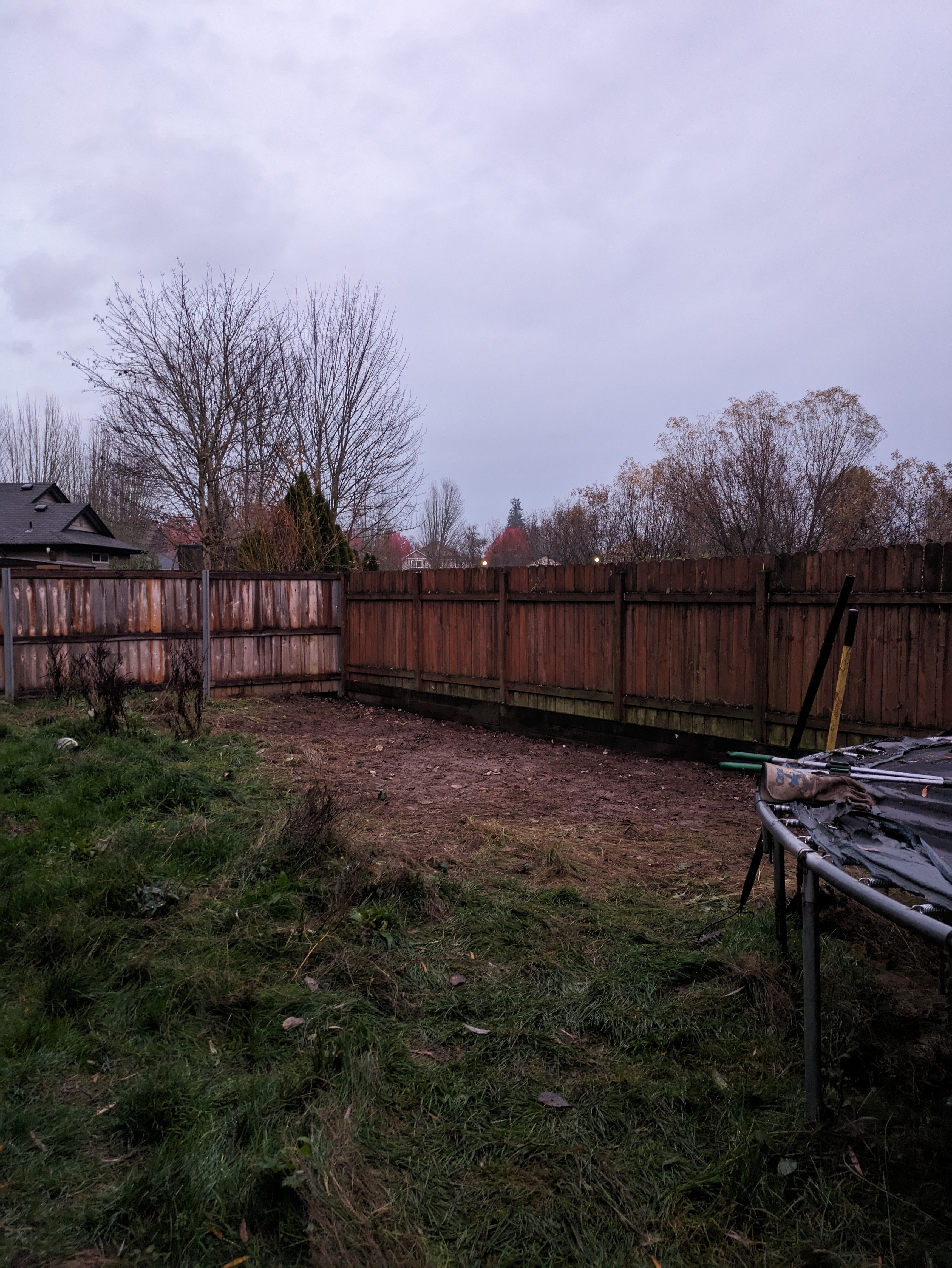 Blackberry Removal After