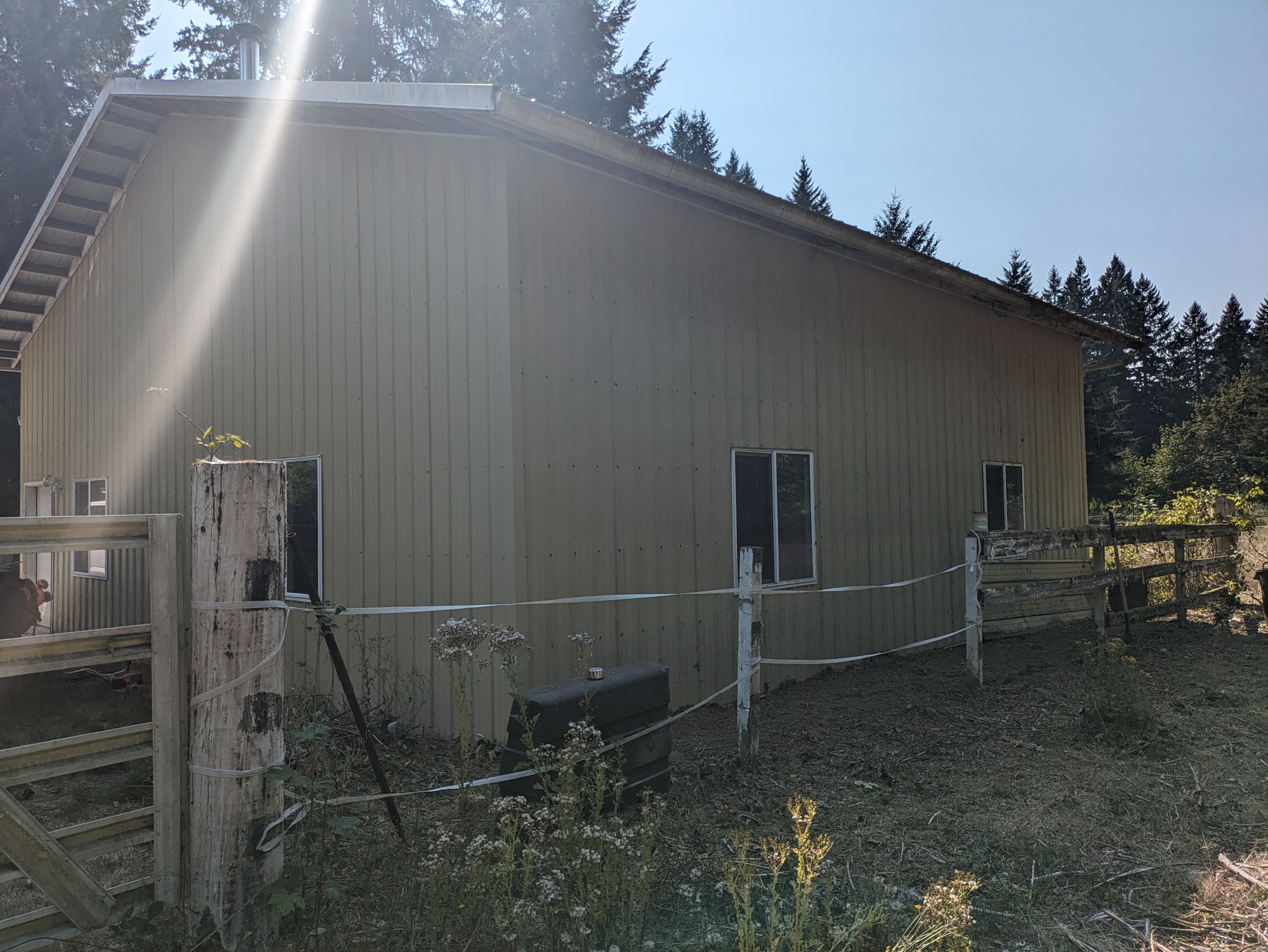 Blackberry removal after in Kelso WA