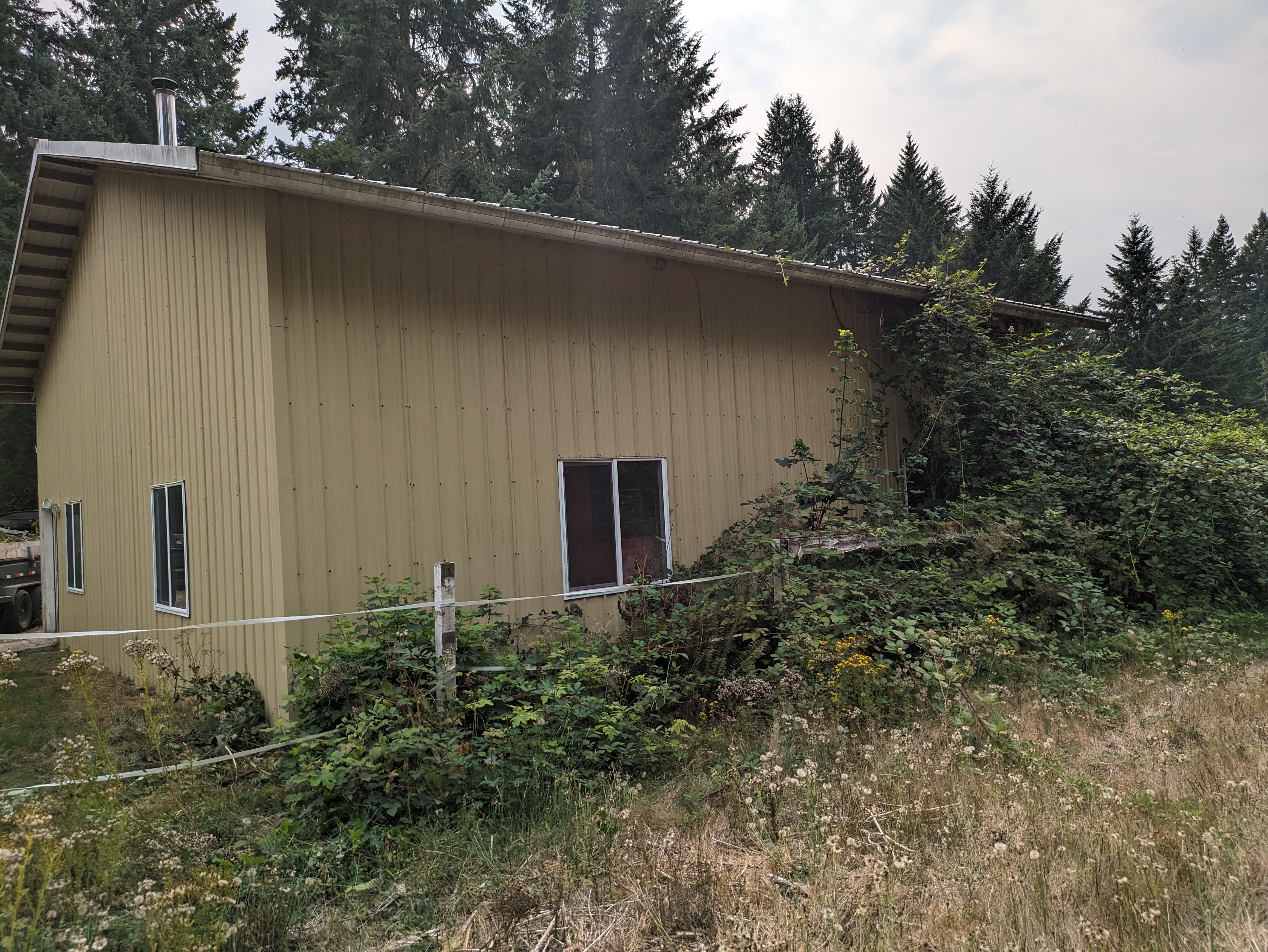 Blackberry removal before in Kelso WA