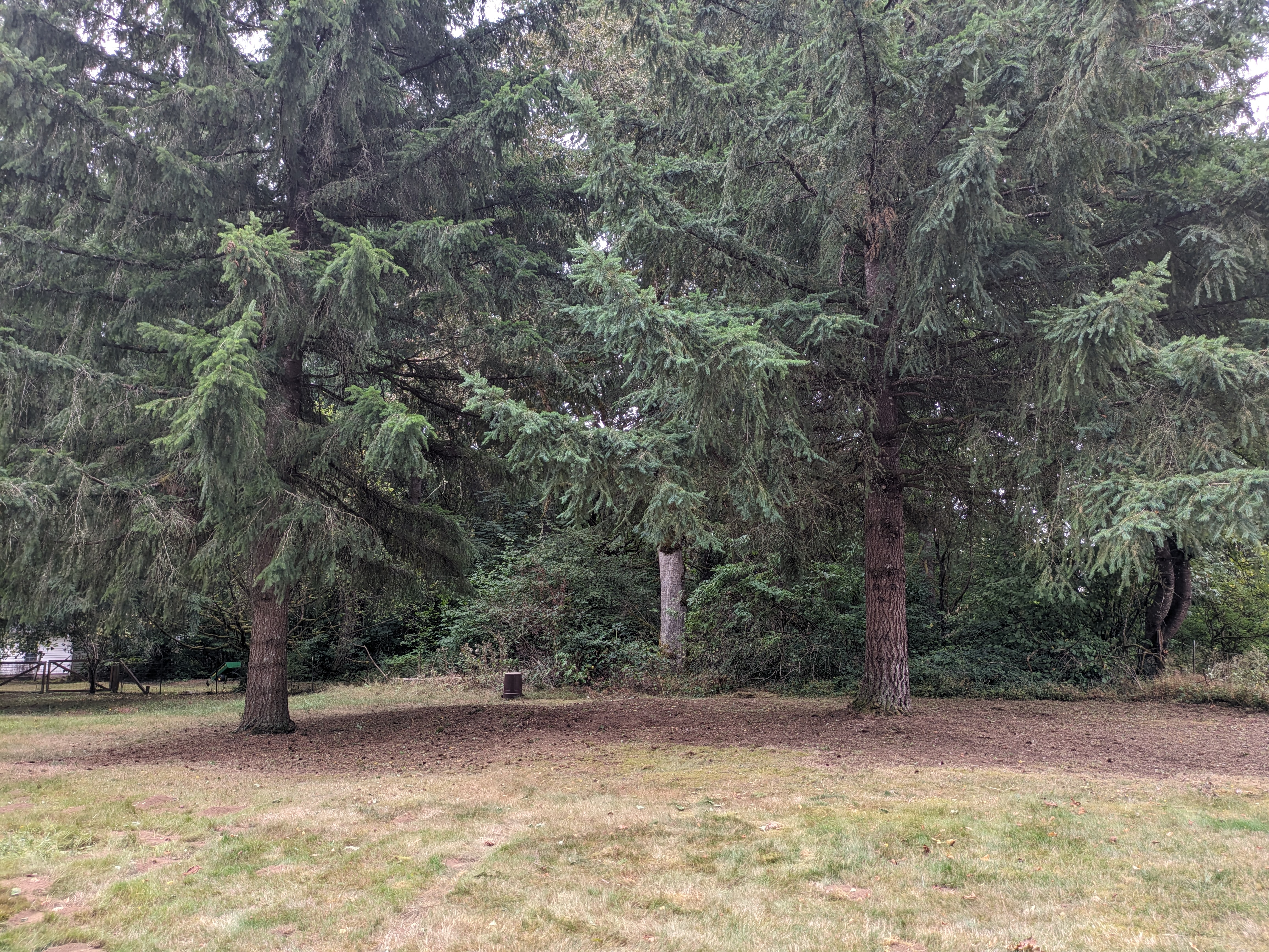 Brush clearing after in Brush Prairie WA