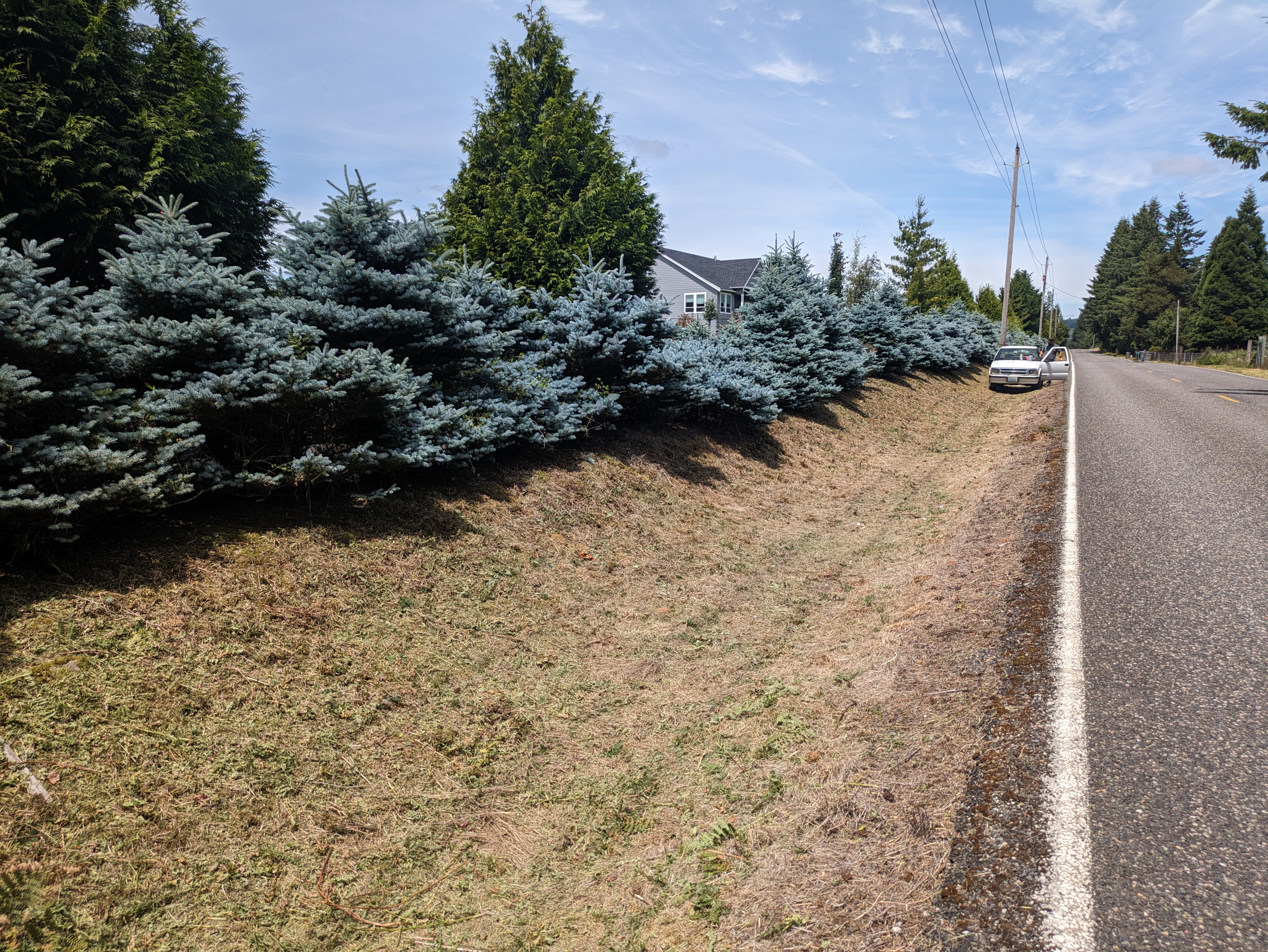 Brush Clearing After