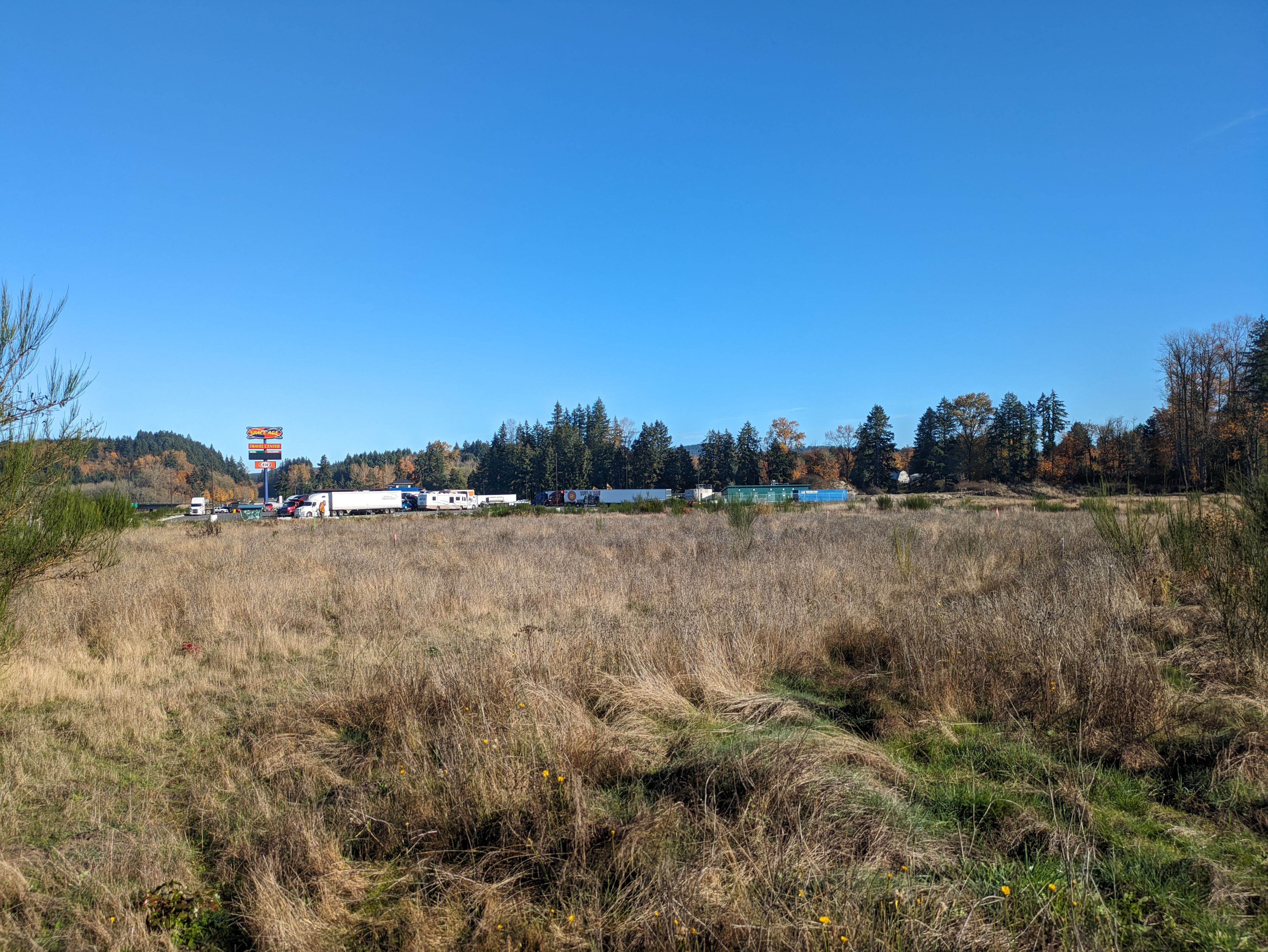 Brush mowing before in Castle Rock WA