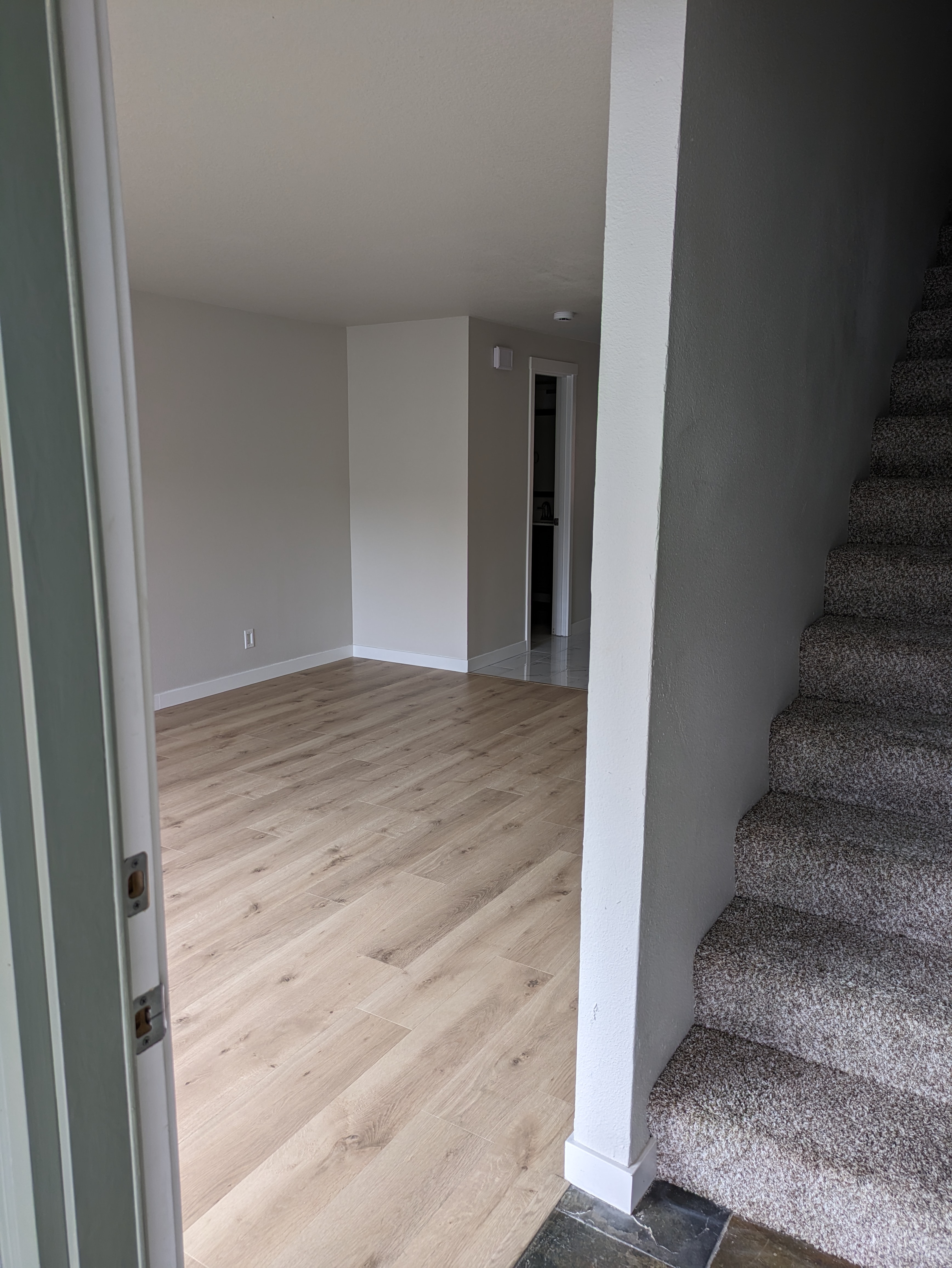 Condo hoarder cleanout after