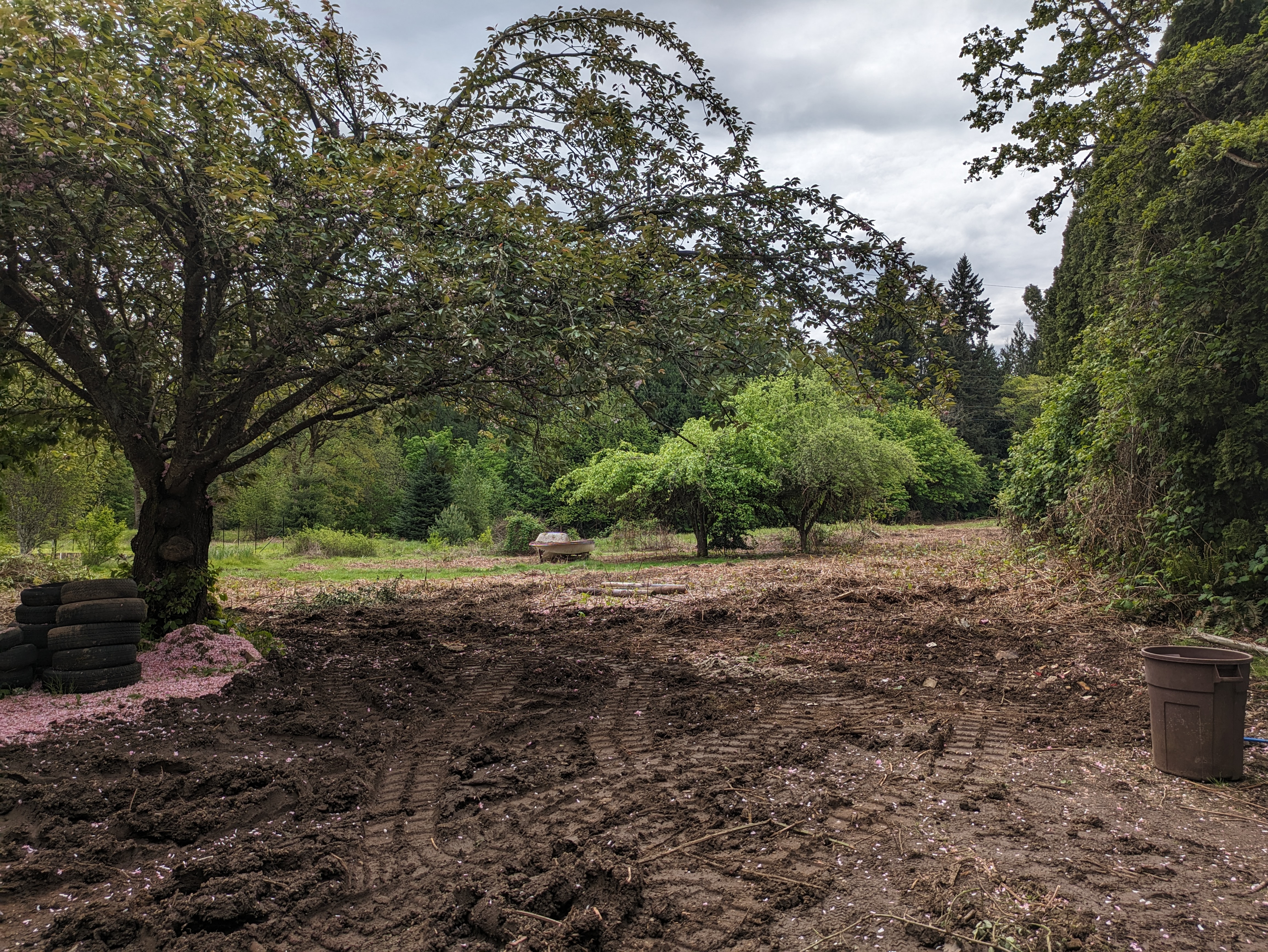 Junk removal after in Hazel Dell WA