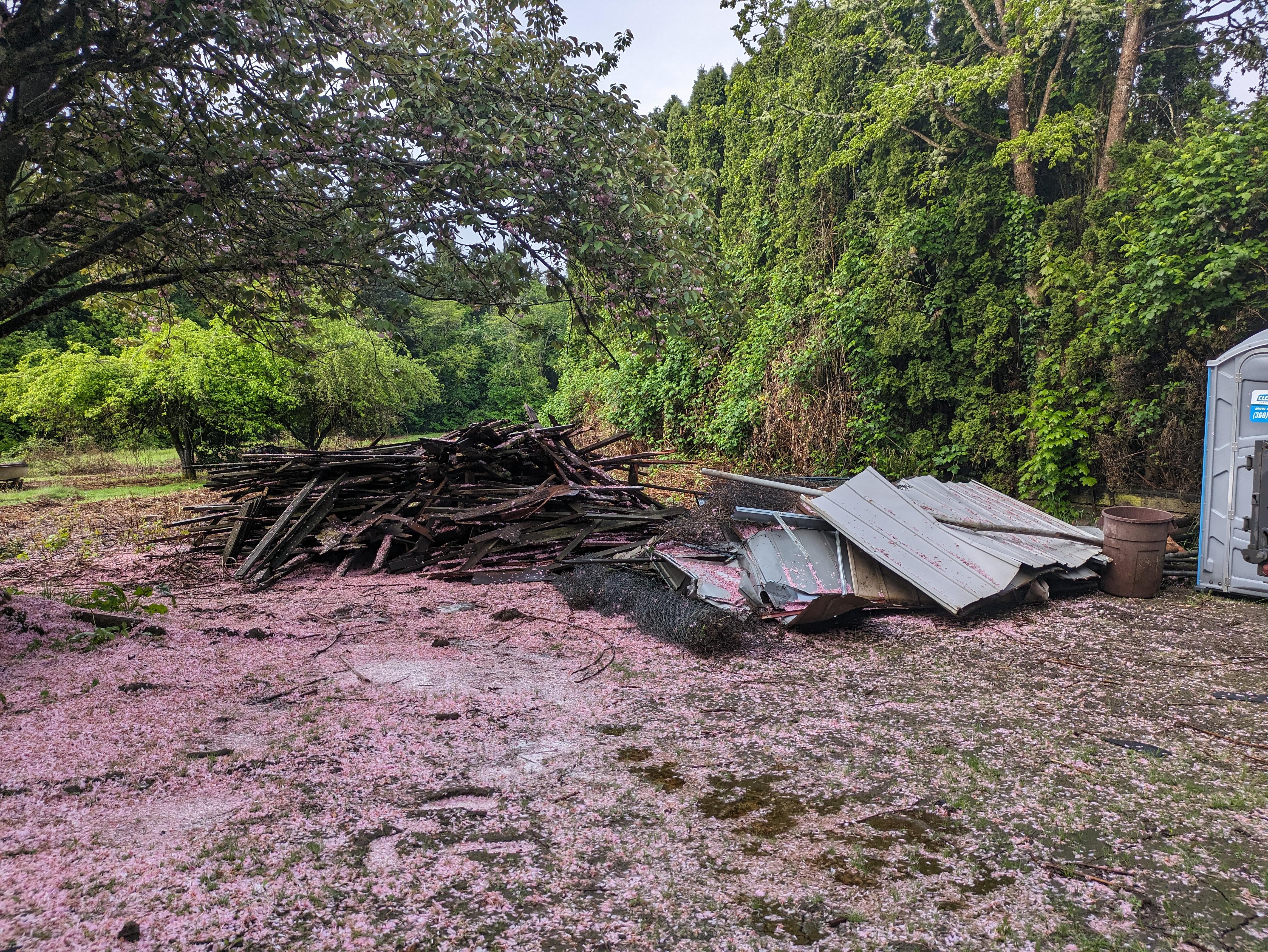 Junk removal before in Hazel Dell WA