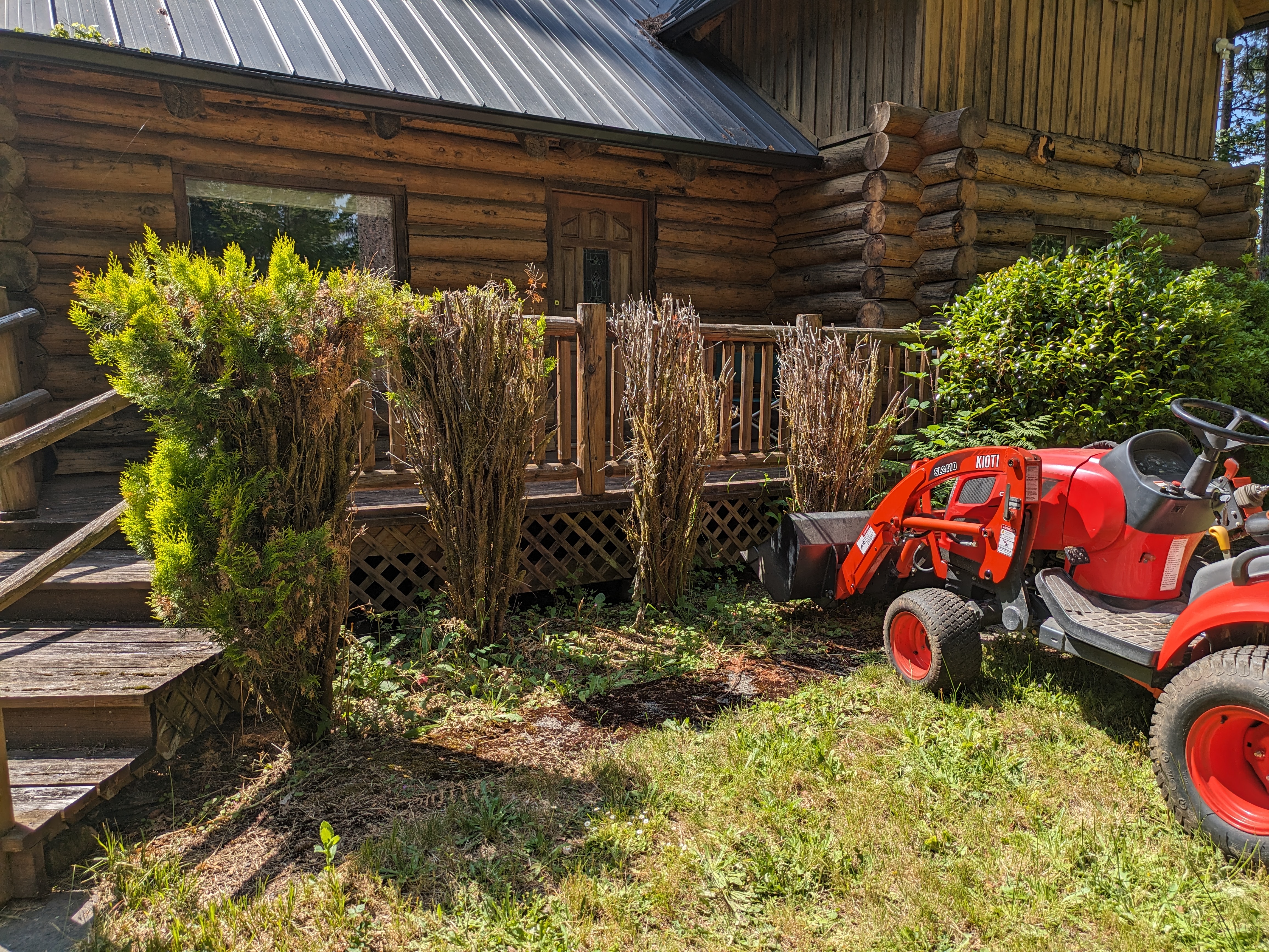 Brush removal before in La Center WA