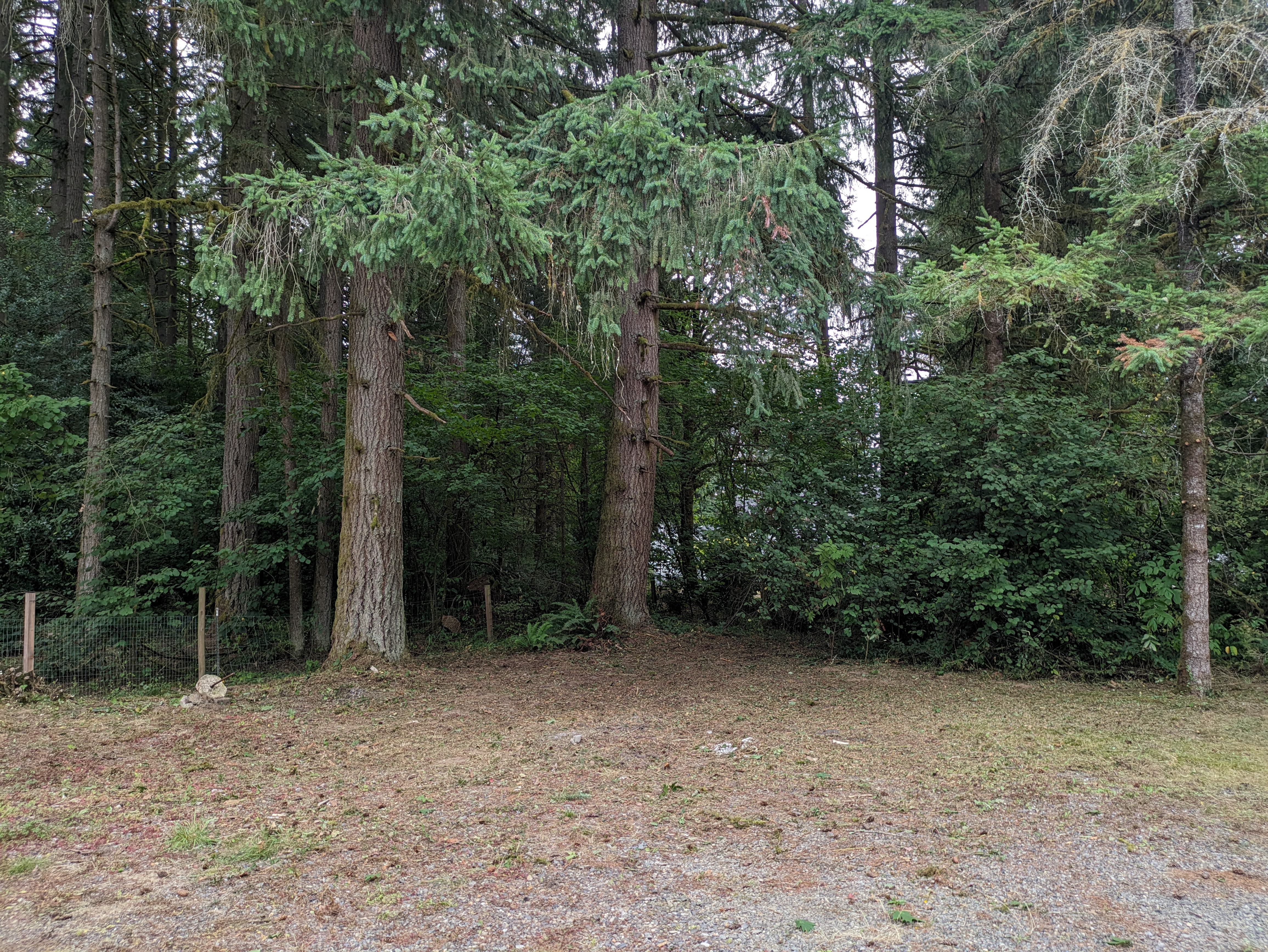 Driveway after cleanup