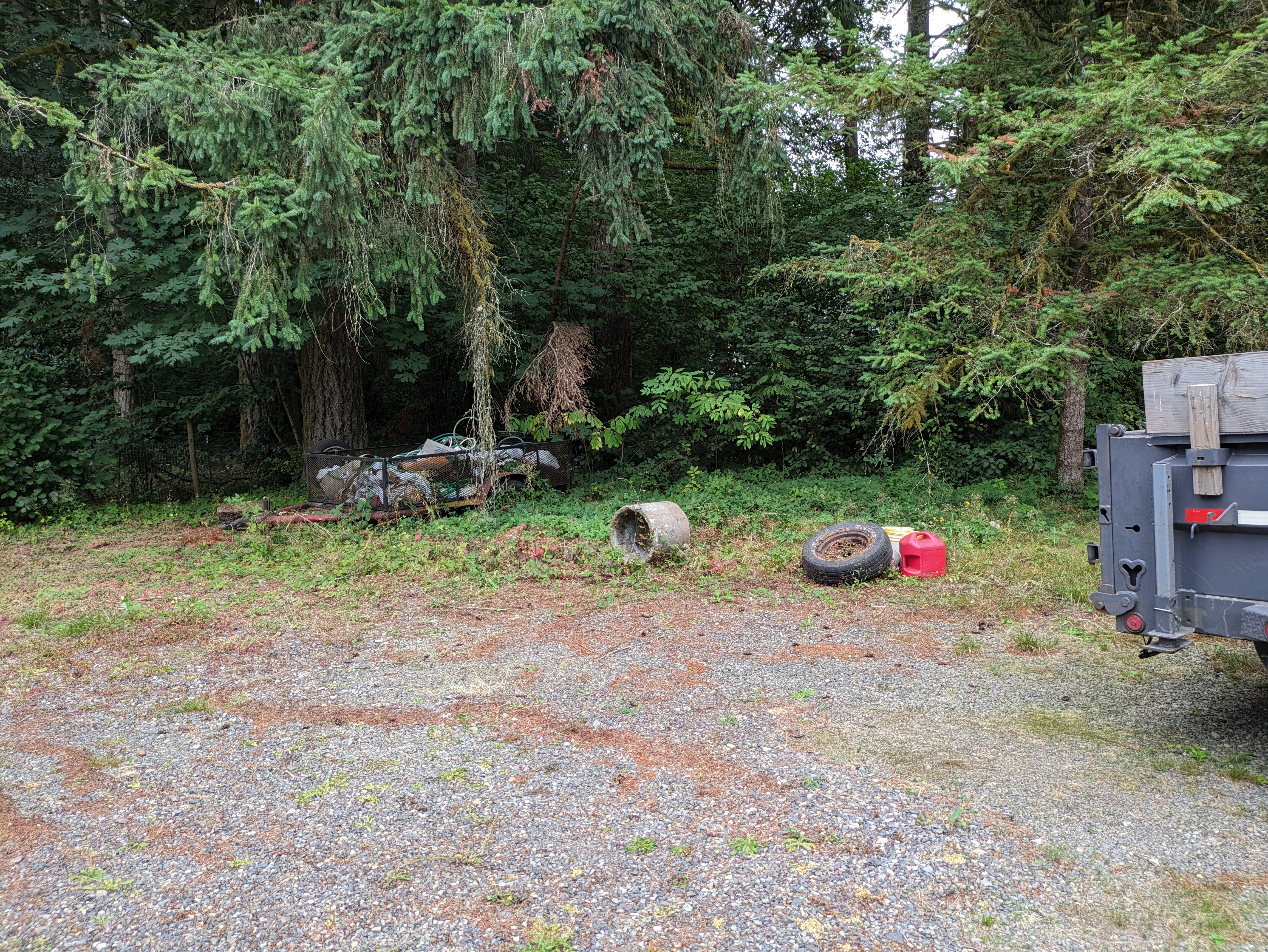 Driveway before cleanup