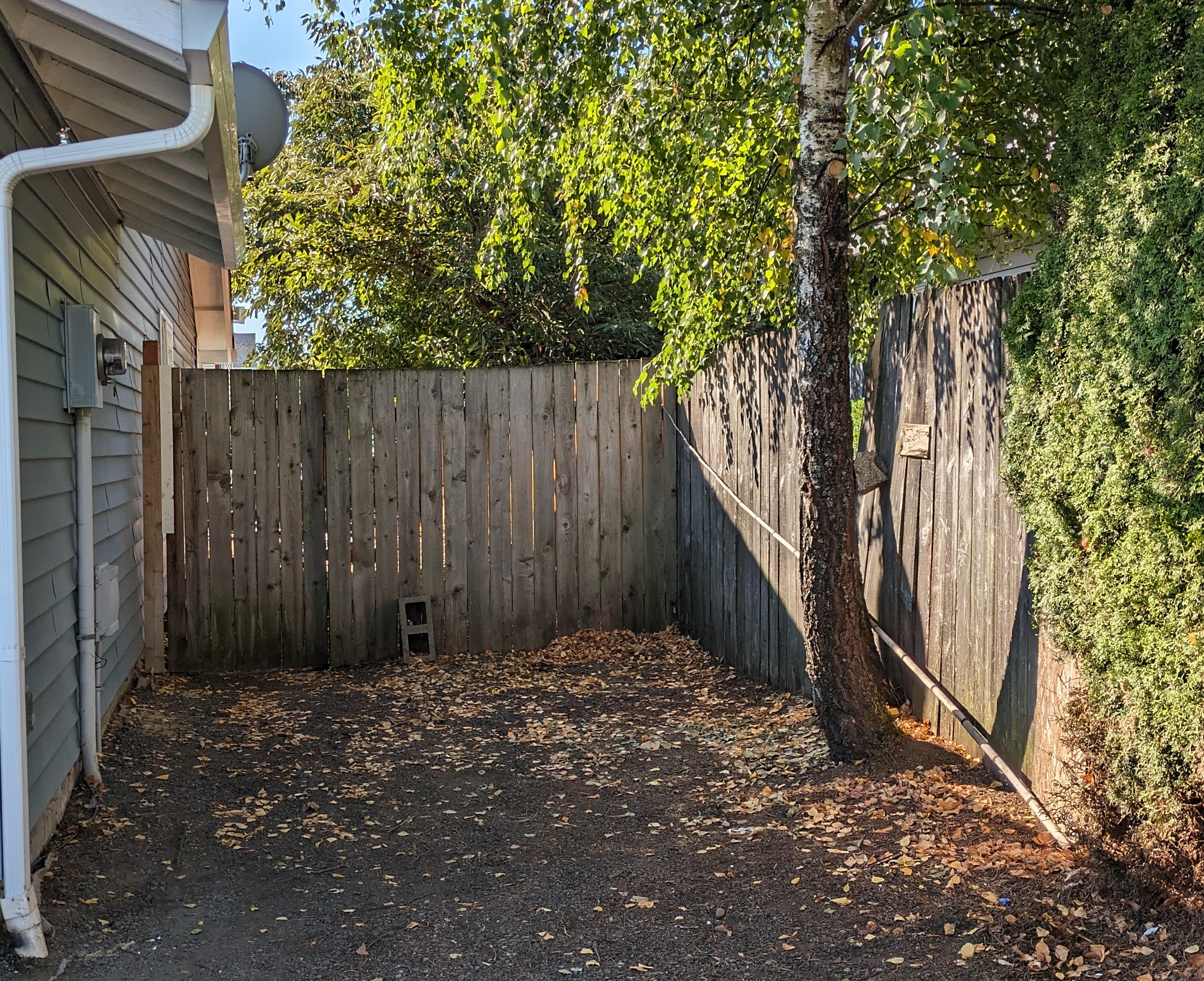 Side yard cleanup after