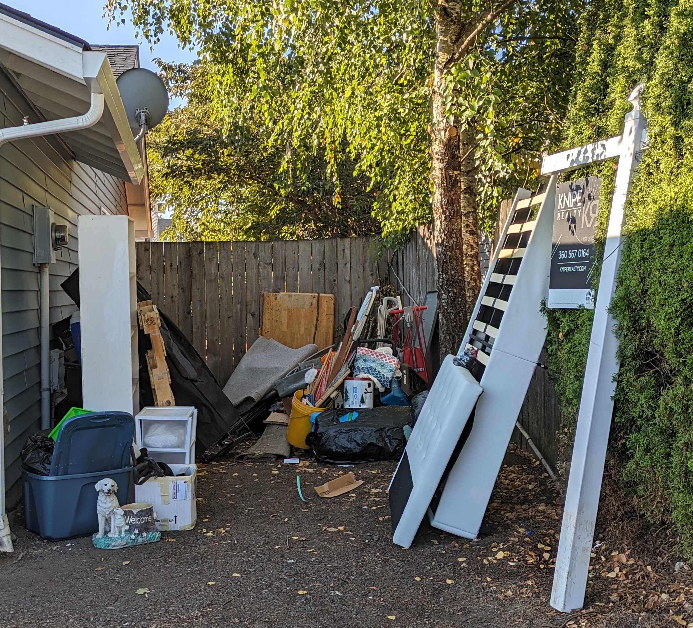 Side yard cleanup before