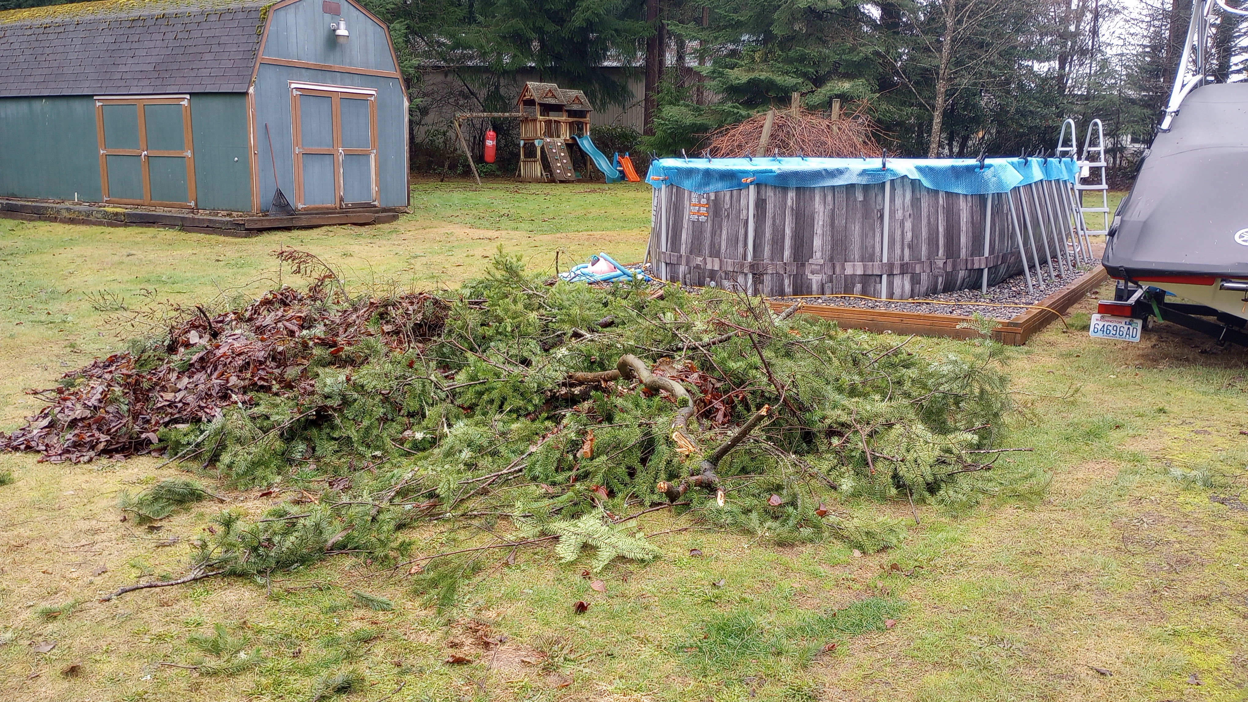 Yard waste cleanup before in Hockinson WA