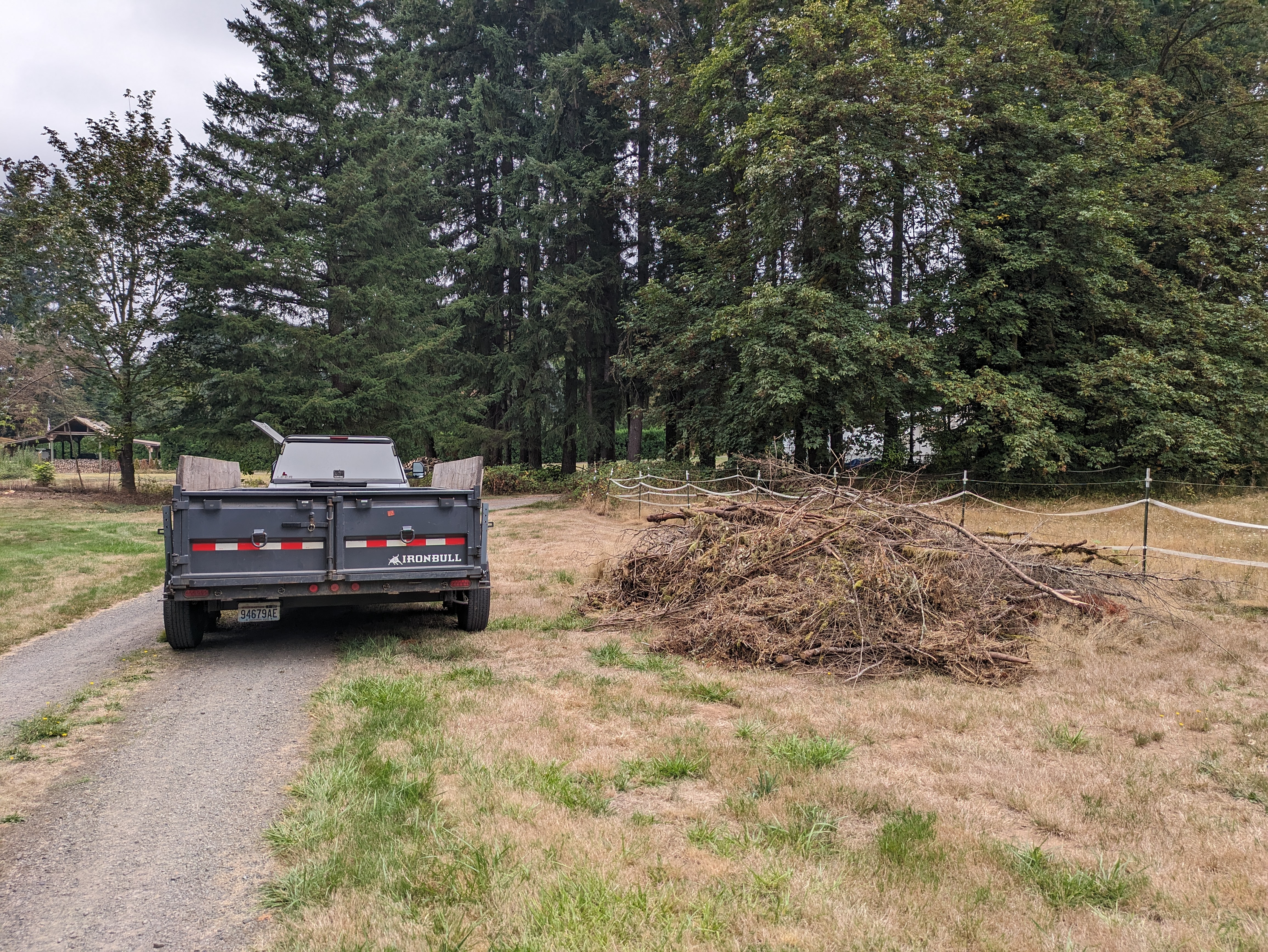 Yard waste cleanup before in Kalama WA