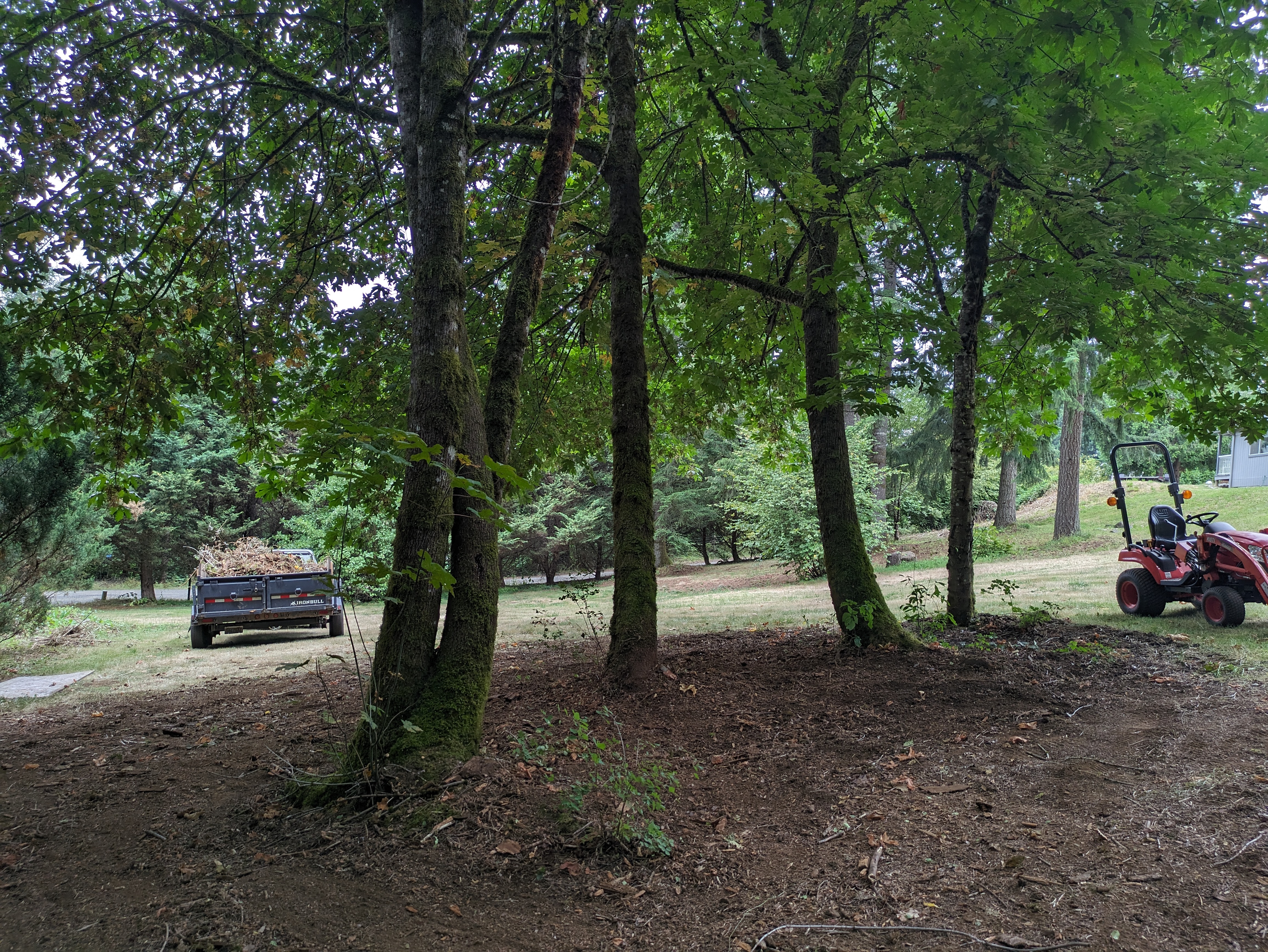 Wood pile after yard waste removal